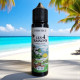 E-liquide mangue ananas 50 ml Protect