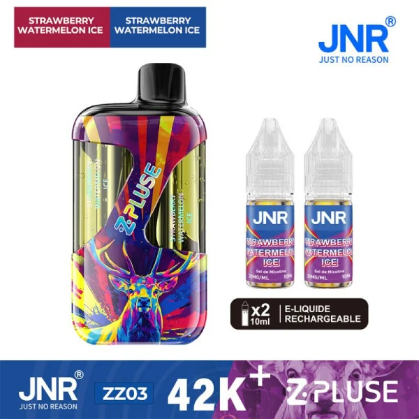 JNR 42K Zpluse Cherry Ice et Cherry Watermelon Freeze + 2 flacons 10ml