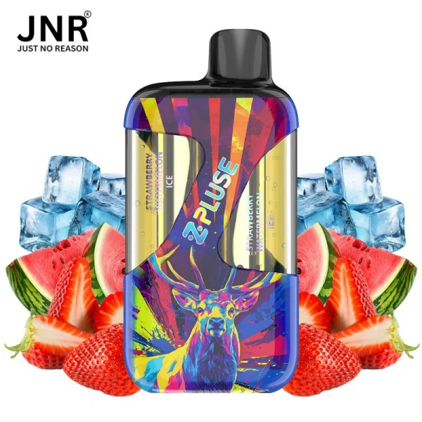 JNR 42K Zpluse Cherry Ice et Cherry Watermelon Freeze