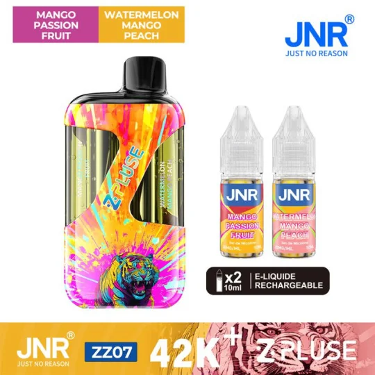 JNR 42K ZPLUSE Mango Passion et Watermelon Mango Peach + 2 flacons 10ml