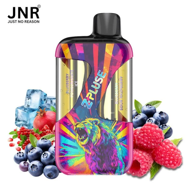 Puff JNR 42K Zpluse Blueberry Pomegranate Ice et Blueberry Sour Raspberry