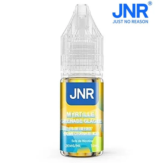 Blueberry Pomegranate Ice 10ml - JNR