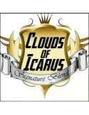 CLOUDS OF ICARUS